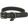Trixie CityStyle antkaklis, PVC, M: 35-42 cm/20 mm, juodas