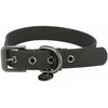 TRIXIE CityStyle antkaklis, PVC, S-M: 30-37 cm/20 mm, juodas