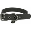 TRIXIE CityStyle antkaklis, PVC, XS-S 25-32 cm/20 mm, juodas