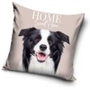 Šuns pagalvėlės užvalkalas 40*40 cm