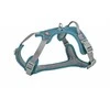 Trixie Premium Active szelki šuniui petrol XS–S: 30–40 cm/15 mm