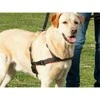 TRIXIE Petnešos Lead'n'Walk Soft, juodos, 65-105cm, L-XL dydžio, 13057