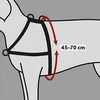 TRIXIE Petnešos Lead'n'Walk Soft, juodos, 45-70cm, S-M dydžio, 13055