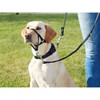 TRIXIE Top Trainer treniruočių diržai XL 46cm 13006