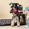 Šuns žaislas Mickey Mouse Juoda