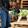 Cerda Pets - Cuerda Dental Para Perro Avengers Hulk (2800000489)