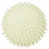 TRIXIE Kamuolys su spygliais, fosforescuojantis, vinilas, ø 10 cm