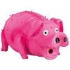 Trixie TX-35499 PIG PIG 21cm