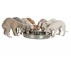 TRIXIE Junior Puppy dubenėlis, 4 l/38 cm