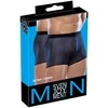 Blue Mėlyna Pants Men mėlynas S-L