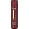 Londa Professional Velvet Oil Argan Oil &amp; Vitamin E plaukų šampūnas atstatančiam plaukams, 250 ml