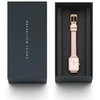 TIMEX EASY READER klasikinis INDIGLO moteriškas laikrodis T2N525 + dėžutė