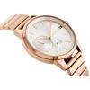 Laikrodis Tommy Hilfiger Alden 1791310 1710492