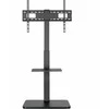 Equip Equip 650613 Televizoriaus laikiklis 190,5 cm (75") Juodas