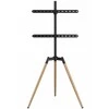 Laikiklis Gembird Stojak podłogowy pod telewizor (sukamasis), 32'' - 65''