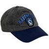Kepurė CERDÁ Harry Potter Ravenclaw cap