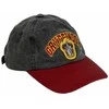 Kepurė CERDÁ Harry Potter Gryffindor cap