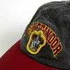 Kepurė CERDÁ Harry Potter Gryffindor cap