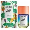 Loewe Paula's Ibiza Eclectic EDT tualetinis vanduo unisex, 100 ml