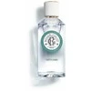 Roger &amp; Gallet Vetyver Wellbeing Fragrant Vanduo 100ml, 100 ml