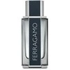 Kvepalai vyrams Ferragamo Ferragamo EDT, 100 ml