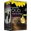 Garnier Olia Permanent Coloring 5,3 Capuccino plaukų dažai