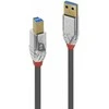 USB Laidas - LINDY Cromo Line USB 3.2 Type A į B Laidas, M/M, 5Gbps, 1 m, Pilkas