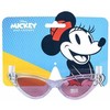 Minnie Mouse CERDÁ Disney Minnie premium sunglasses
