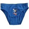 Vaikiški apatiniai „Sonic the Hedgehog“, 3 kelnaičių pakuotė