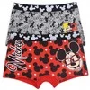 Vaikiškos Disney Mickey bokserinės kelnaitės, 2 vnt. pakuotėje