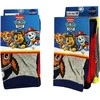 Vaikiškos kojinės „Paw Patrol“ 23-34