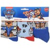 Vaikiškos kojinės „Paw Patrol“ 27/30