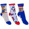 Vaikiškos kojinės „Paw Patrol“ 27/30