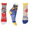 Vaikiškos kojinės „Paw Patrol Spirit“ 27/30