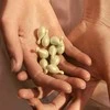 "Eve Lom" valomasis aliejus 50 kapsulių
