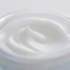 Kanebo Sensai Cellular Performance Fresh Kreminis veido kremas, 40 ml