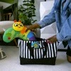 Baby Einstein - „Cal-a-Pillow™“ pilvuko aktyvumo pagalvė - (BE-16756)