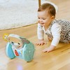 Baby Einstein Mažylis Einšteinas – Vijosi ir baksnoja Earl™ ropojimo ir vyties žaislas – (BE-16923)