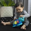BABY EINSTEIN OCEAN EXPLORERS CURIOSITY COVE 2-IN-1 ŠOKLIUKAS