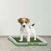 Puppy dog grass litter tray learning mat