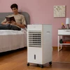 Ventiliatorius Nešiojamas daugiafunkcis garavimo aušintuvas Airvecove InnovaGoods 5 L 65 W