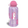 Vienaragio specialus aliuminio butelis 500 ml