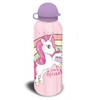 Vienaragio vaivorykštės aliuminio butelis 500 ml