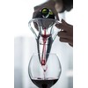 Kemis Aerator do Wina Amphora