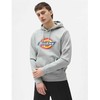 Helly Hansen Bluza Dickies Icon Logo Hoodie Pilkas Melange