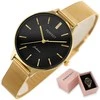 Laikrodis MEN'S WATCH PERFECT X421 (zp331d) - rubber band