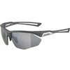 Alpina Nylos HR Sunglasses cat. 3 Pilkas