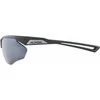 Alpina Nylos HR Sunglasses cat. 3 Pilkas