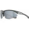 Alpina Nylos HR Sunglasses cat. 3 Pilkas