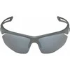 Alpina Nylos HR Sunglasses cat. 3 Pilkas